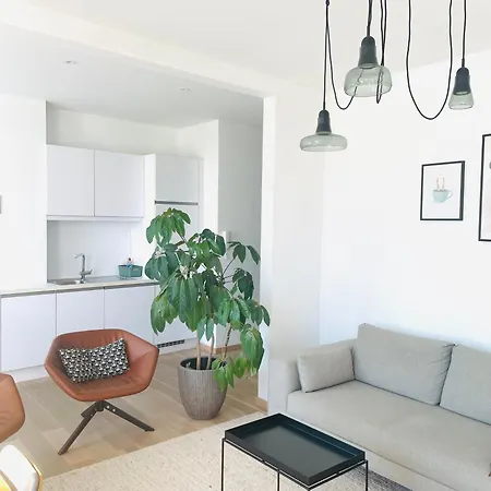 Prachtig Gerenoveerd Apartament